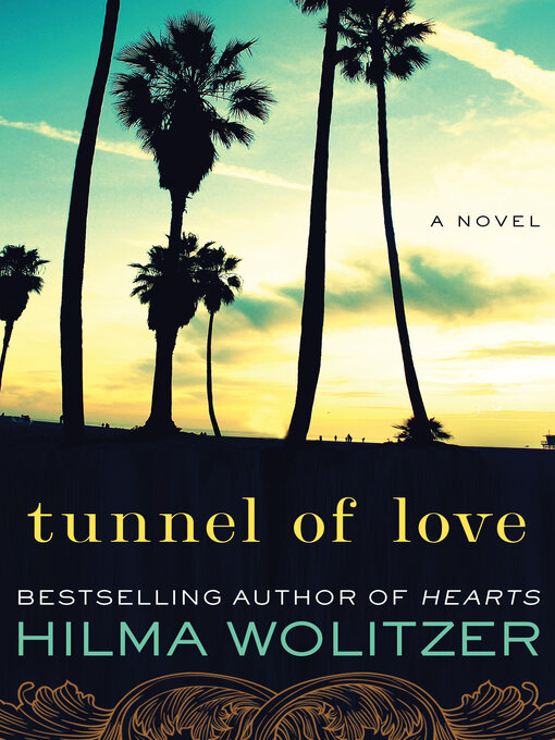 Title details for Tunnel of Love by Hilma Wolitzer - Available